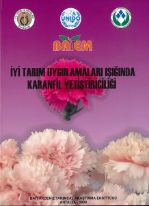 Karanfil Yetiştiricliği