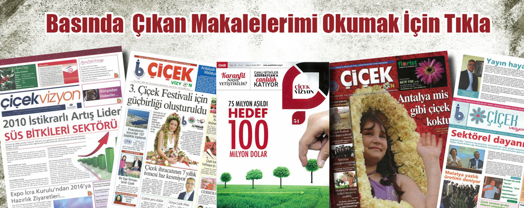 Basında Çıkan Makalelerim