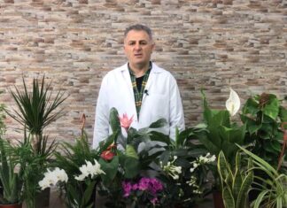 ZAMBAK DİKİM MAKİNESİ