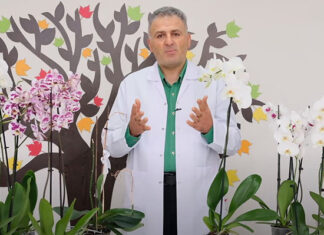 ORKİDE BAKIMI (SULAMA, GÜBRELEME, BUDAMA) VE ÇİÇEK AÇTIRMA